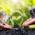 Đặc điểm sinh học của cây
