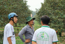 Nông dân Bình Phước chuyển đổi sang thuốc BVTV hữu cơ cho sầu riêng