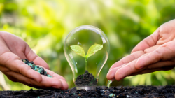 Yêu cầu sinh thái