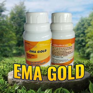 EMA GOLD 