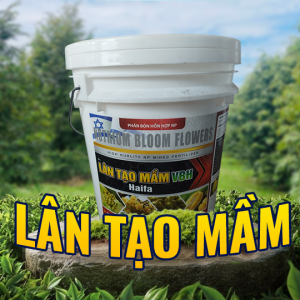 LÂN TẠO MẦM XÔ 20KG