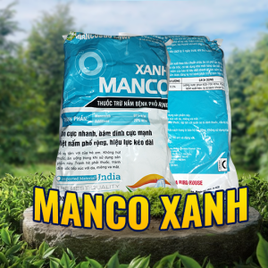 MANCO XANH