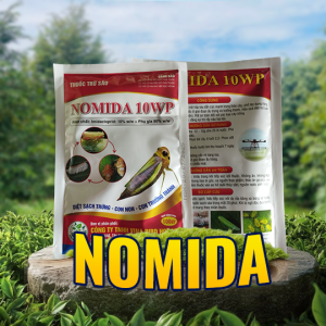 NOMIDA