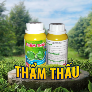 THẨM THẤU