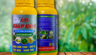 ÁO GIÁP KẼM 1