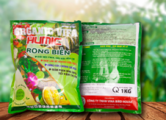 OGANNIC RONG BIỂN