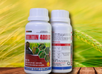 ATINTIN400EC