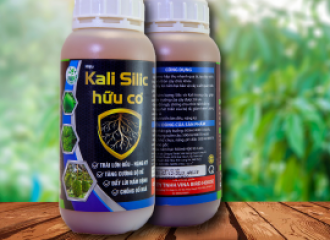 KALI SILLK HỮU CƠ