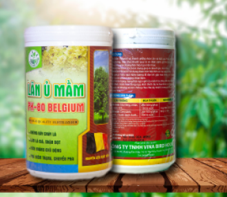   LÂM Ủ MẦM