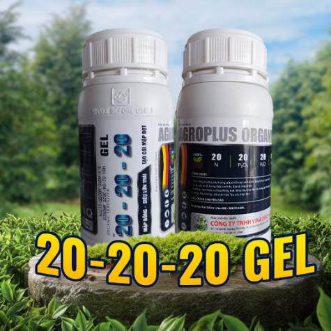 20-20-20 Gel