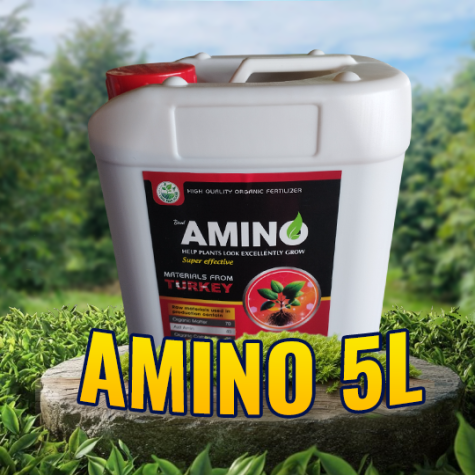 AMINO TURKEY 5L