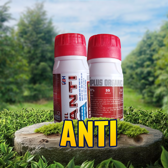 ANTI