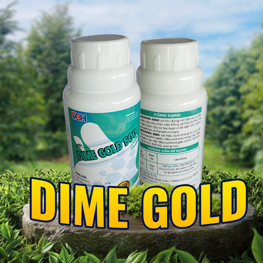 DIME GOLD