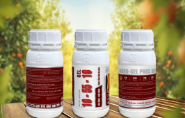 Phân bón10-55-10 GEL