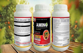 AMINO TURKEY
