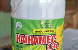 HAIHAMECS 3.6 EC
