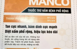 MANCO VÀNG 80 WP