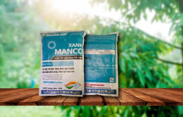 MANCO XANH