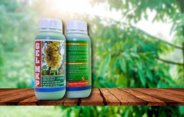 MKP GEL