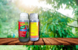 NEEM OIL
