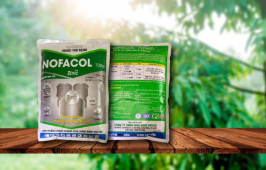 NOFACOL 70 WP