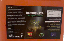 ROOTING PRO CAN 20 LÍT