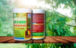 LÂN Ủ MẦM