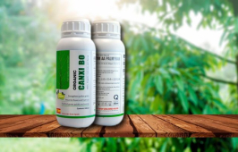 PHÂN BÓN HỮU CƠ CANXIBO