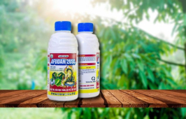 AFUDAN