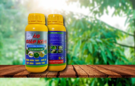 ÁO GIÁP KẼM