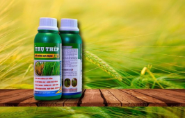 TRỤ THÉP