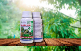 VUA NẤM BỆNH- ASMILTATOP 400 SC