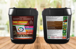 SOIL ORGANIC