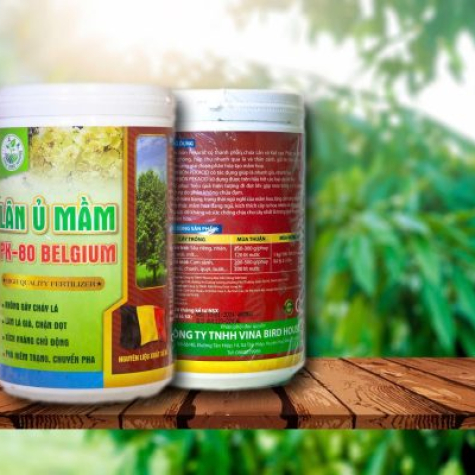 LÂN Ủ MẦM