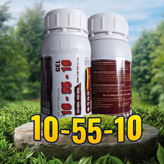 Phân bón10-55-10 GEL