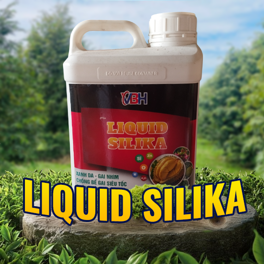 LIQUID SILIKA 