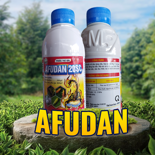 AFUDAN